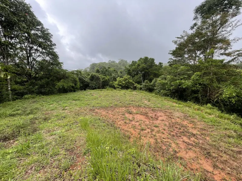 Ocean View Property with Creek and Building Sites - 2