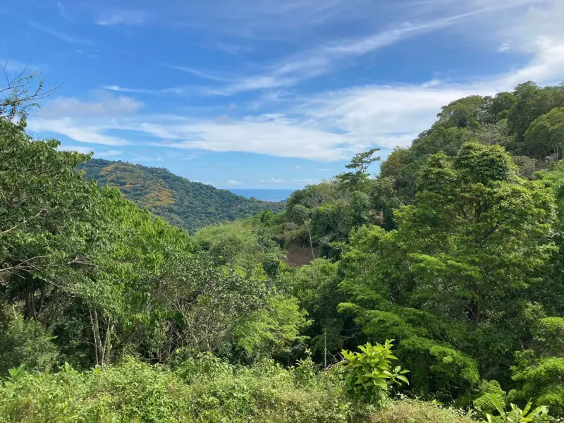 Ocean View Property with Creek and Building Sites - 3