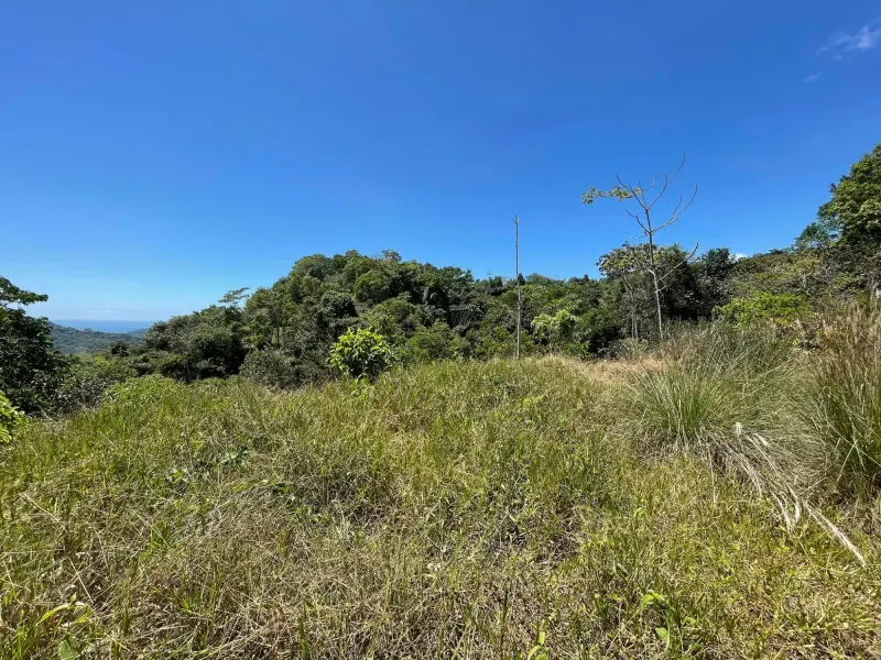 Ocean View Property with Creek and Building Sites thumbnail 7