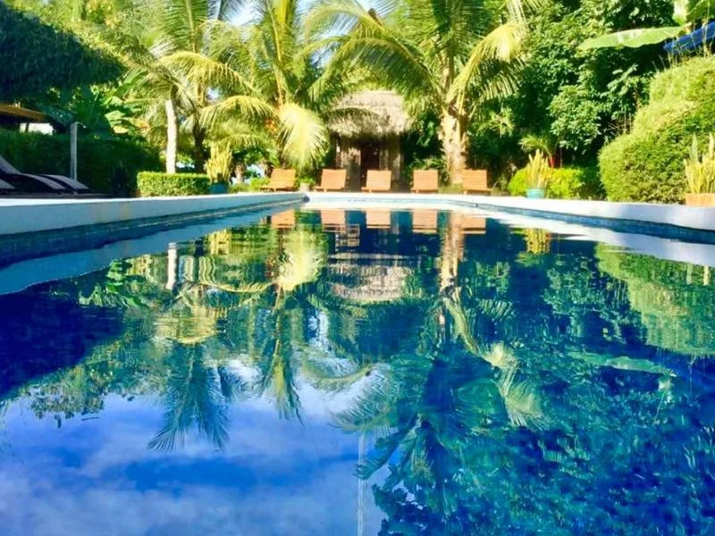 Sustainable Beachfront Eco Surf Retreat Cabo Matapalo - 2