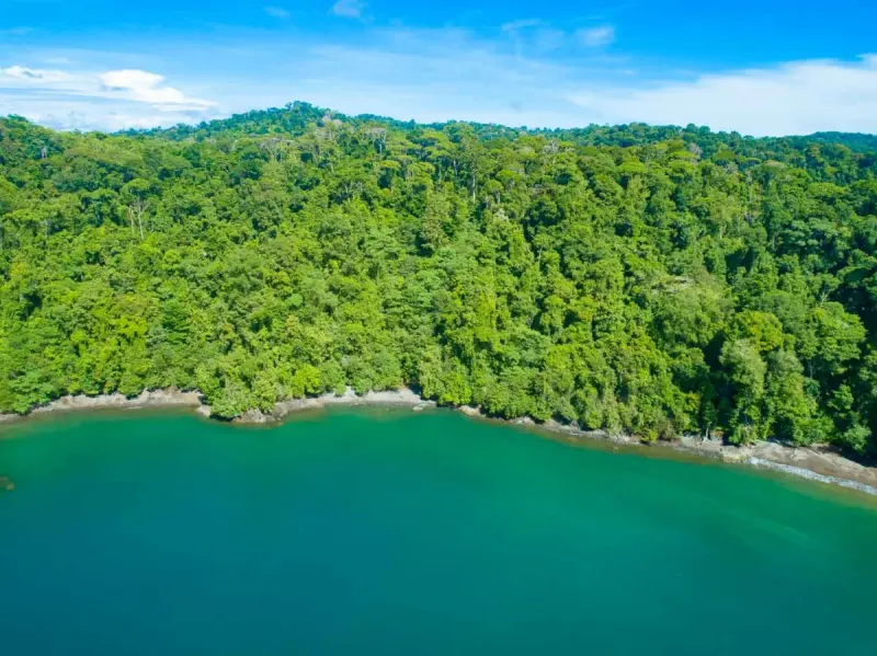 Private Golfo Dulce Island with Private Peninsula - 3