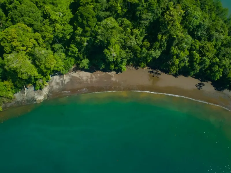 Private Golfo Dulce Island with Private Peninsula - 4