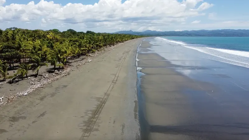 Playa Zancudo Wide Beach Lot - 5
