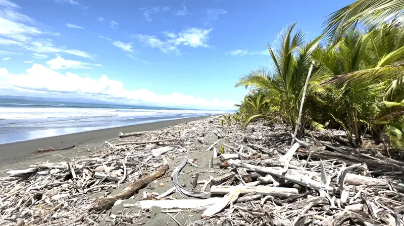 Playa Zancudo Beach Lot thumbnail 7