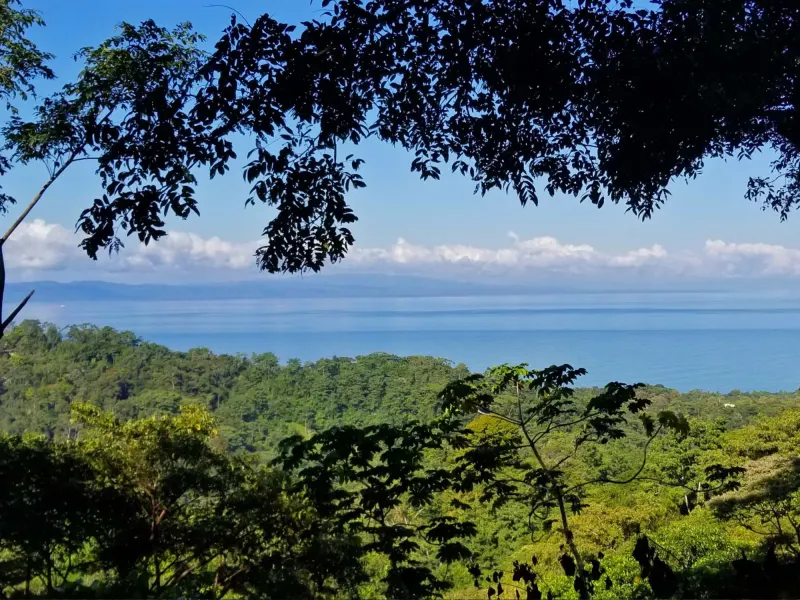 Paraiso de Pavones - 2