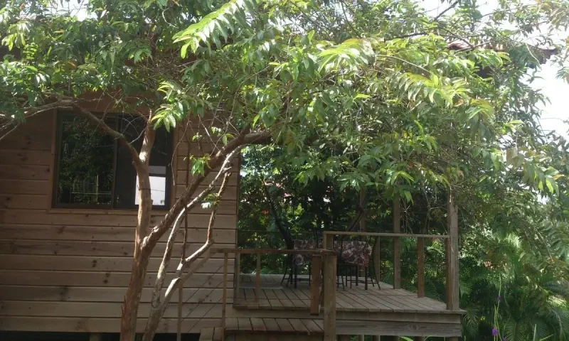 Ocean View Montezuma Property with 3 Rental Units thumbnail 7