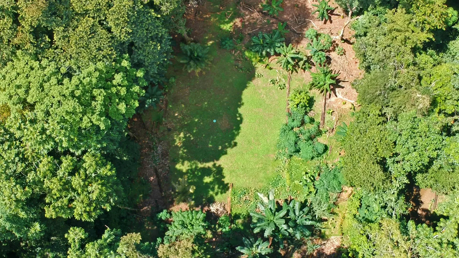 Pavones, Costa Rica