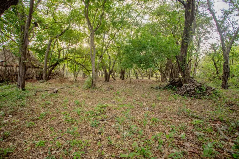 Hacienda Iguana M-24 Surf Lot thumbnail 6