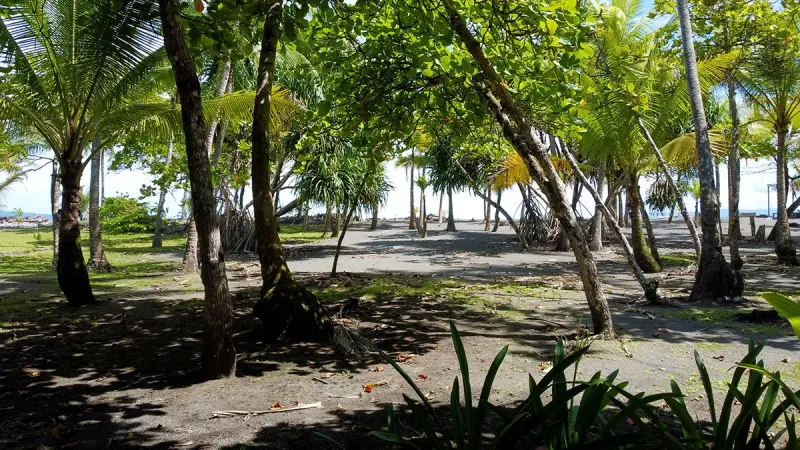 Lote de Libertad Zancudo - 3