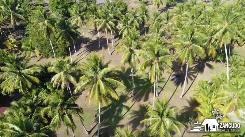 Playa Zancudo Wide Beach Lot - 4
