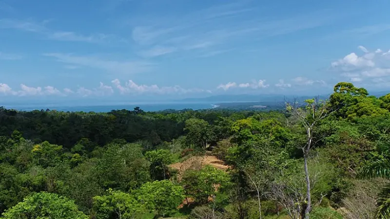 Ocean View Lot 4 Above Pavones - 5
