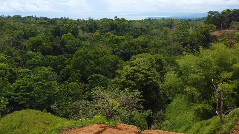 Ocean View Lot 4 Above Pavones - 4