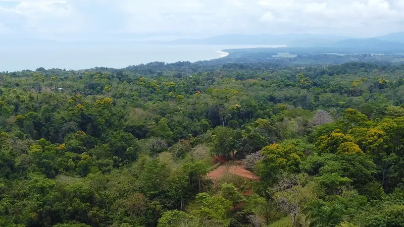 Ocean View Lot 4 Above Pavones - 2