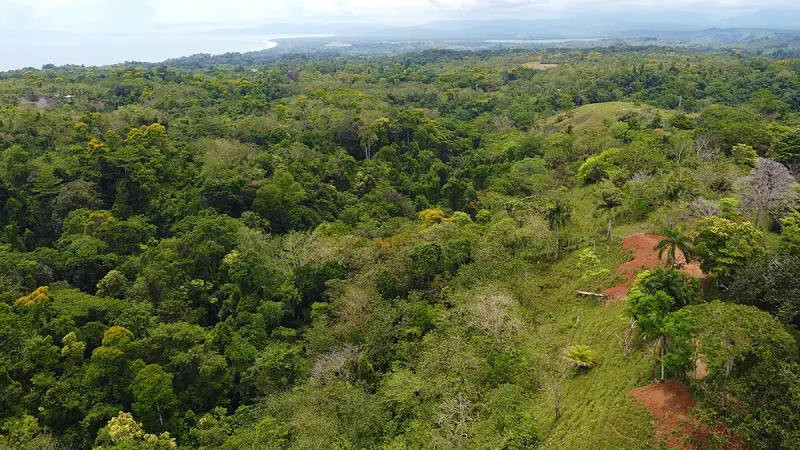 Ocean View Lot 4 Above Pavones thumbnail 8