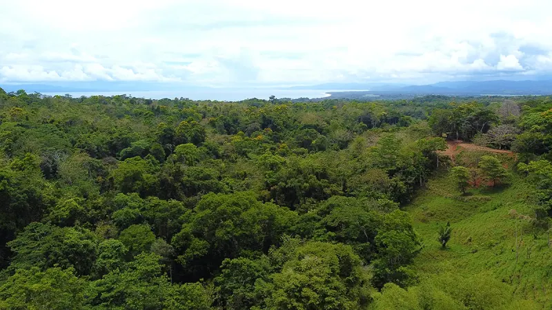 Ocean View Lot 2 Above Pavones - 4