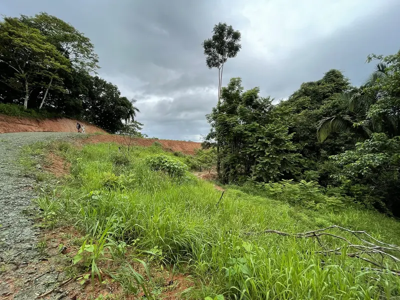 Ocean View Lot 1 Above Pavones - 5