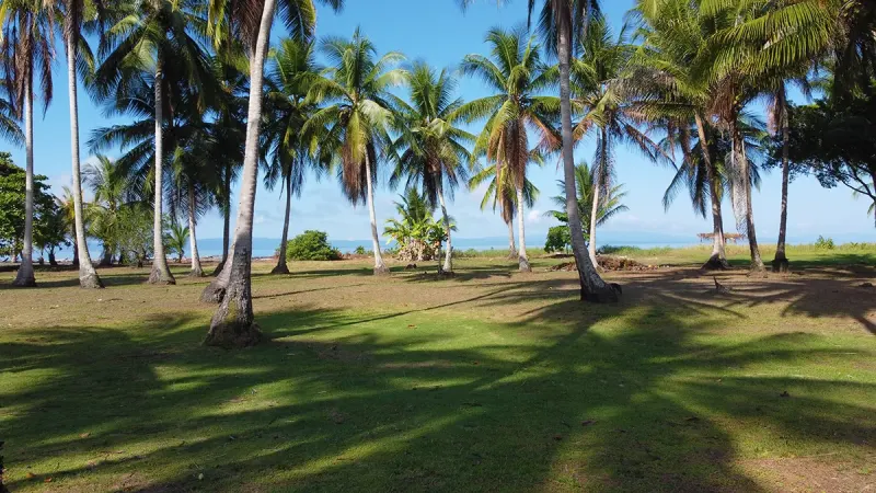 Playa Zancudo Wide Beach Lot - 2