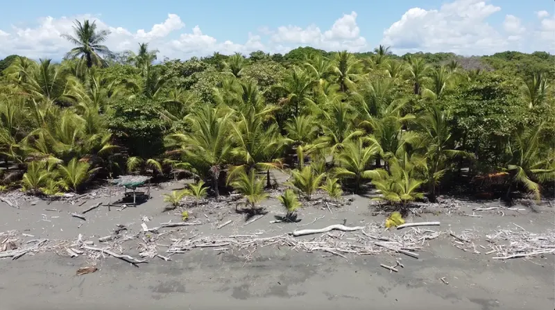 Playa Zancudo Beach Lot - 5
