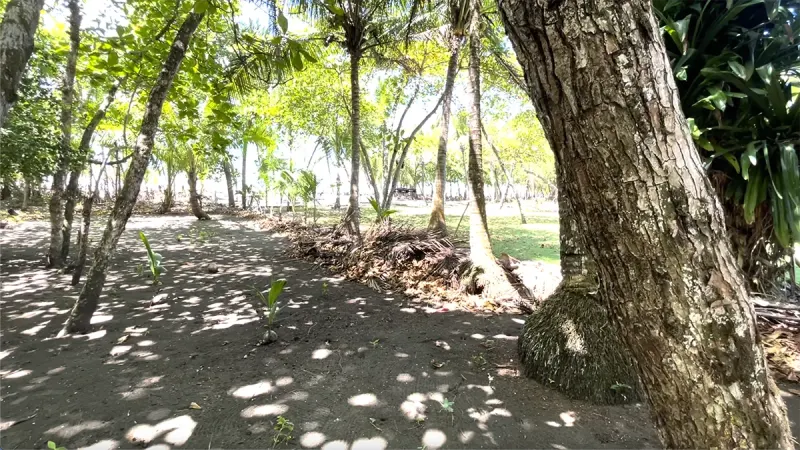 Playa Zancudo Beach Lot thumbnail 6