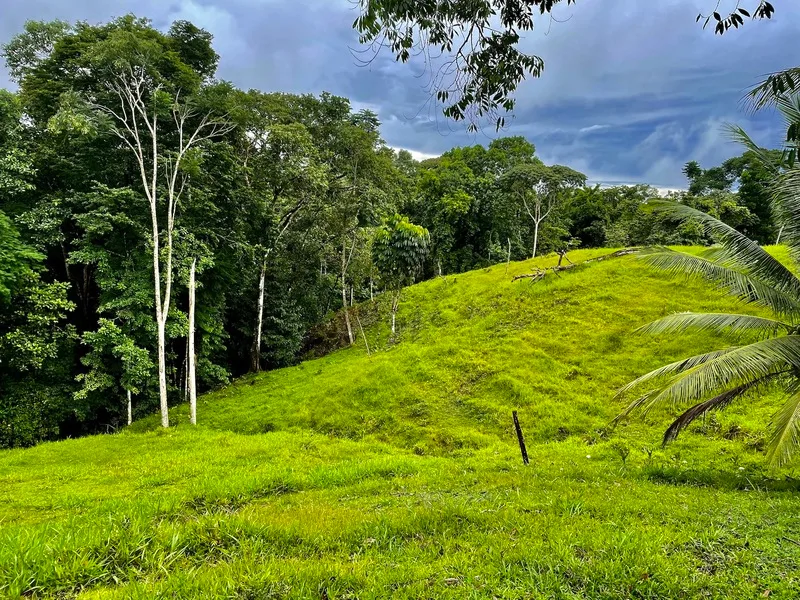Finca Cuervito thumbnail 6