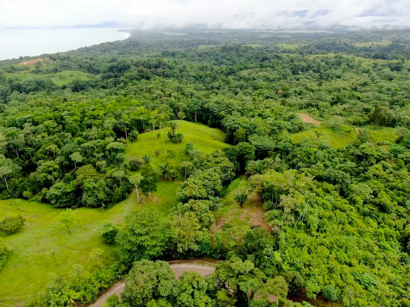 Finca Cuervito - 5