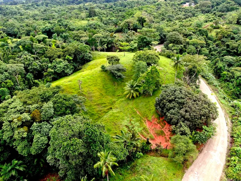 Finca Cuervito - 4