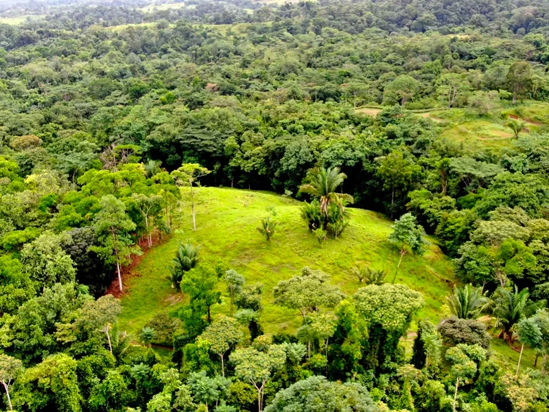 Finca Cuervito - 3