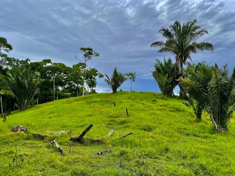 Cuervito, Costa Rica