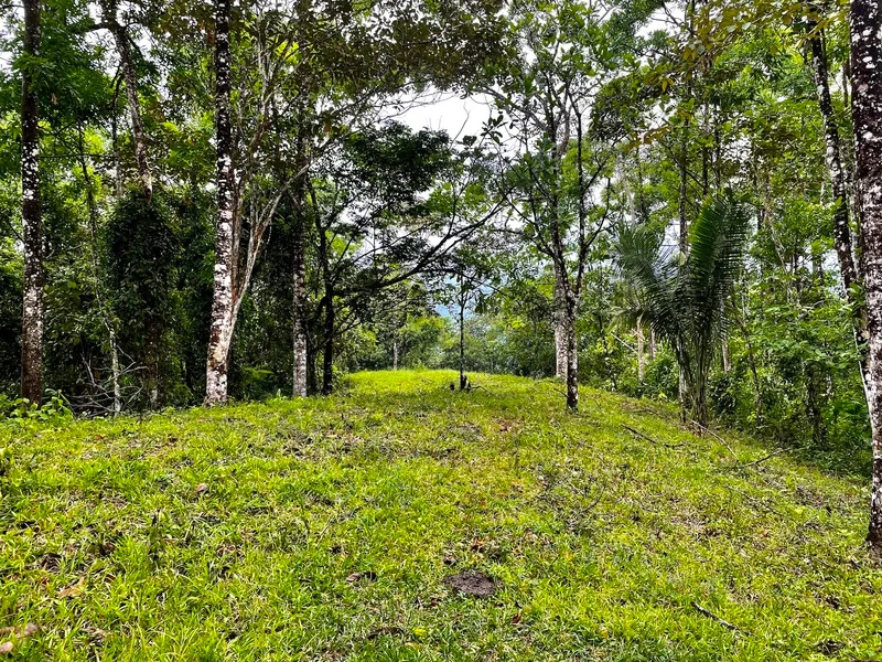 Finca Cuervito thumbnail 8