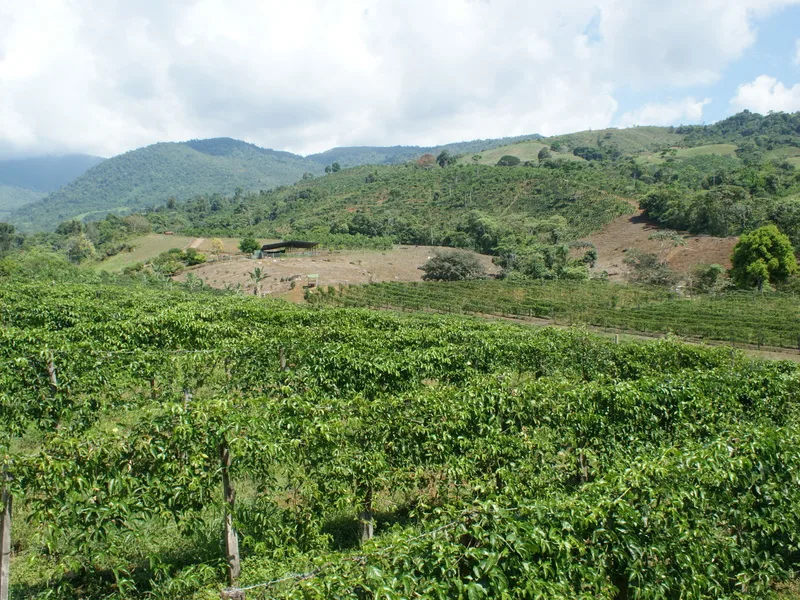 Income Producing 260 Acre Farm - 5