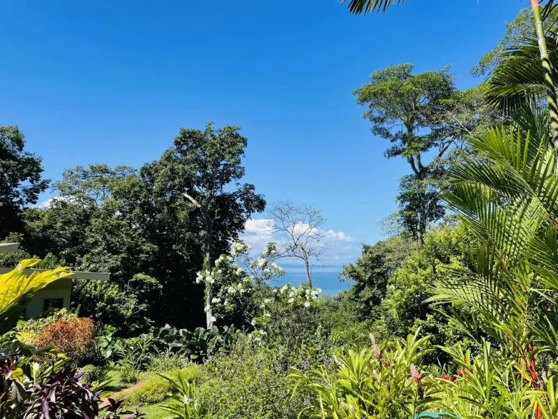 Pavones, Costa Rica