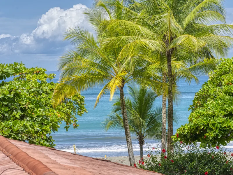 Sustainable Beach Resort Osa Peninsula thumbnail 6