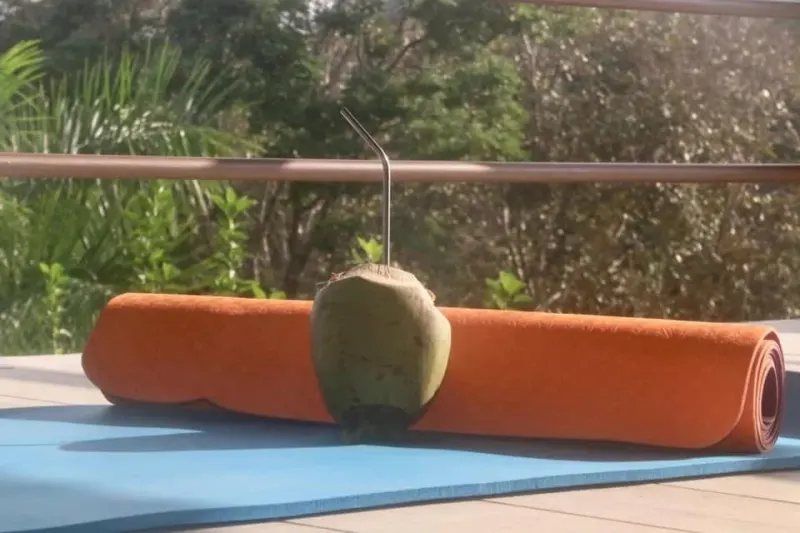 The Coconut Shakk Pavones thumbnail 7