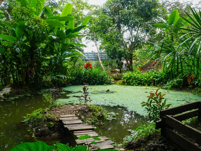 Pérez Zeledón, Costa Rica