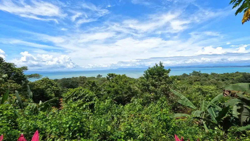 Pavones Ocean View Paradise thumbnail 8