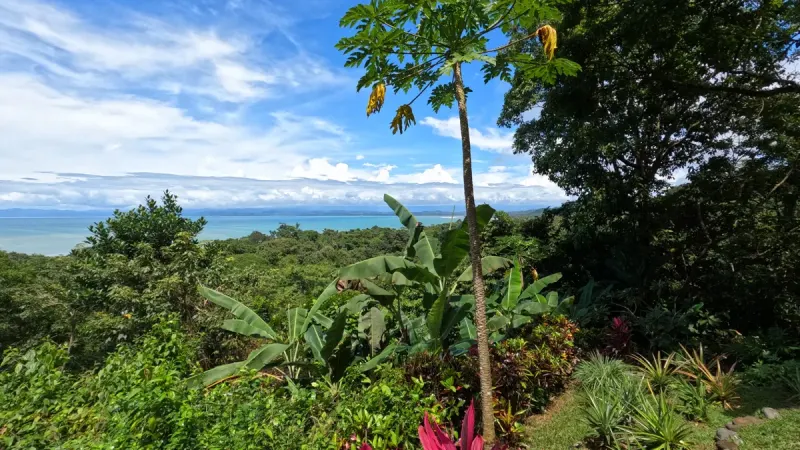 Pavones Ocean View Paradise thumbnail 7