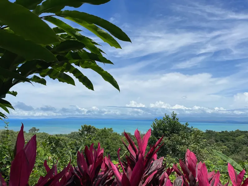 Pavones Ocean View Paradise thumbnail 1