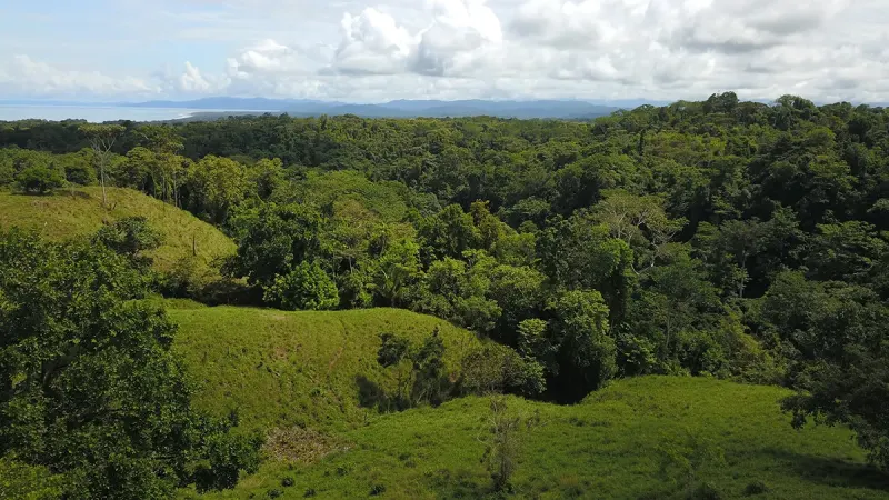 Vista Dulce Finca Sur - 2