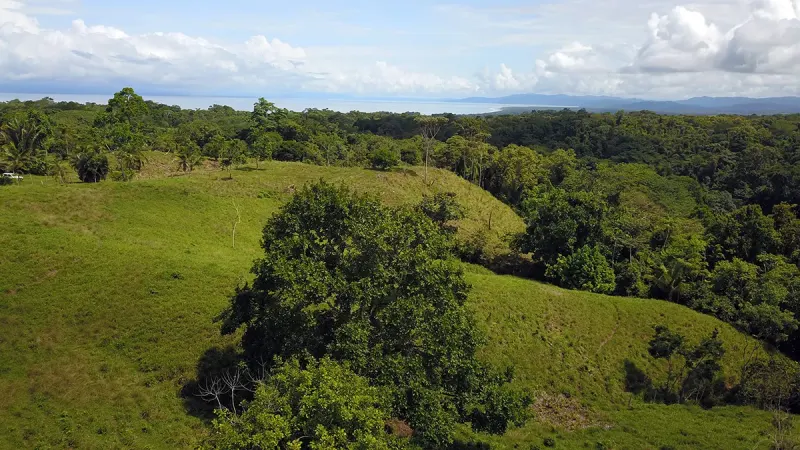 Cuervito, Costa Rica