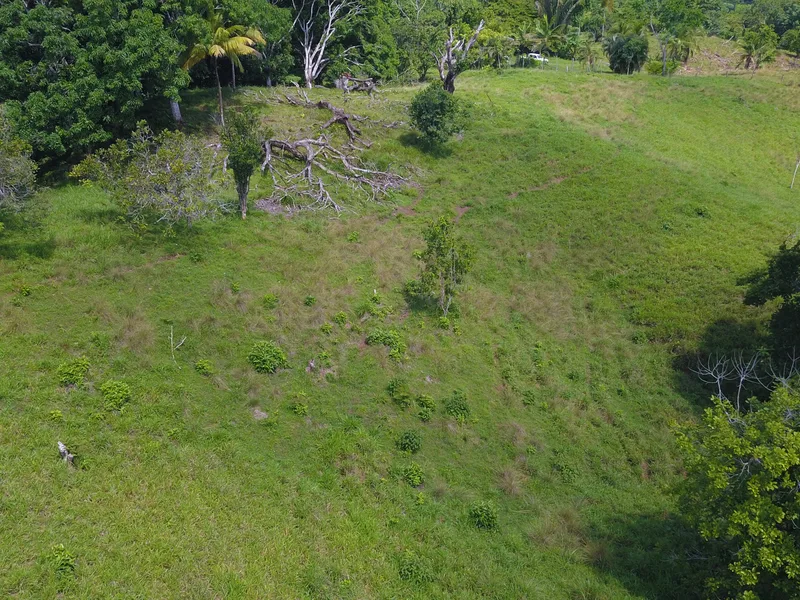 Vista Dulce Finca Sur thumbnail 6