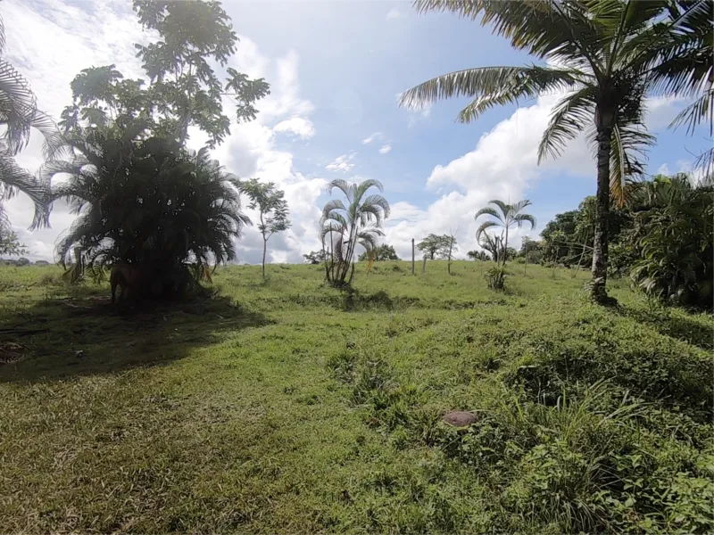 Vista Dulce Finca Sur thumbnail 7
