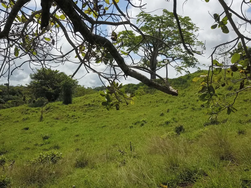 Vista Dulce Finca Sur - 5