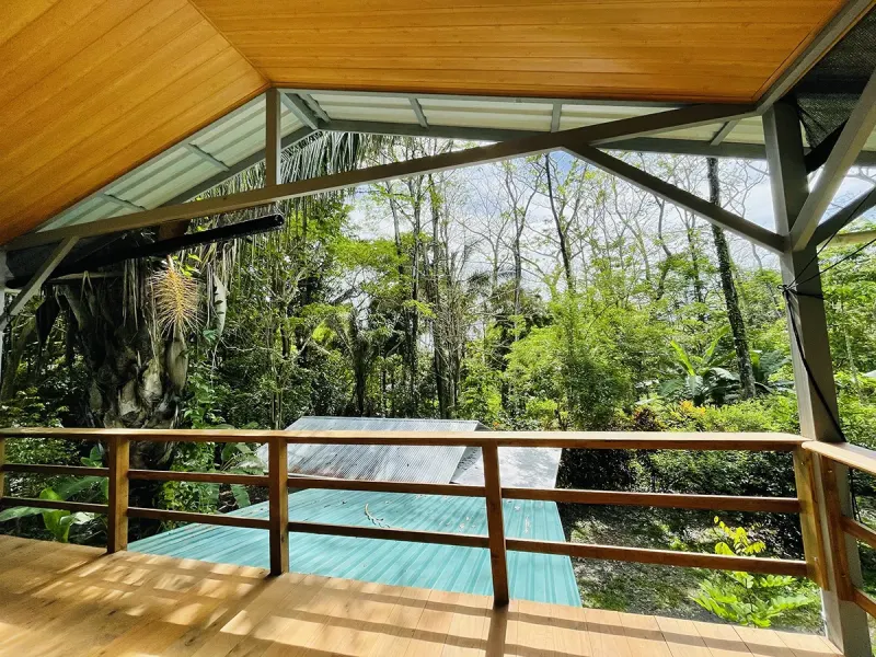 Casa Evergreen thumbnail 7
