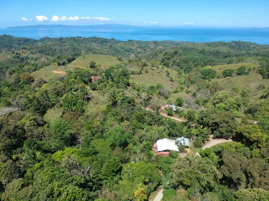 Provincia de Puntarenas, Costa Rica