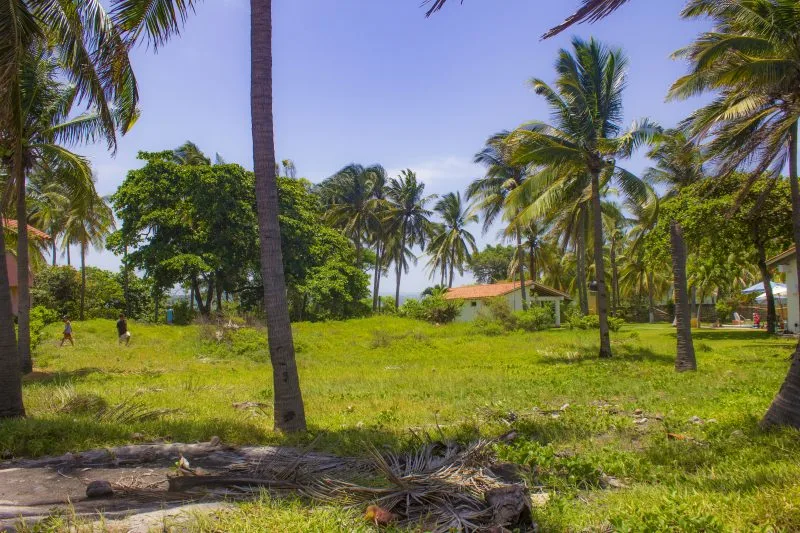 Barra Salada Oceanfront Lot - 4