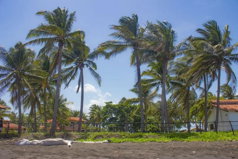 Barra Salada Oceanfront Lot thumbnail 7