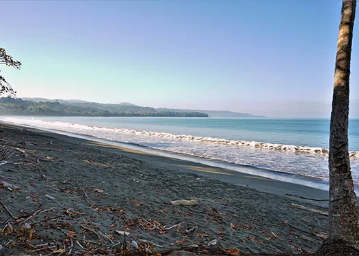 Pavones, Costa Rica
