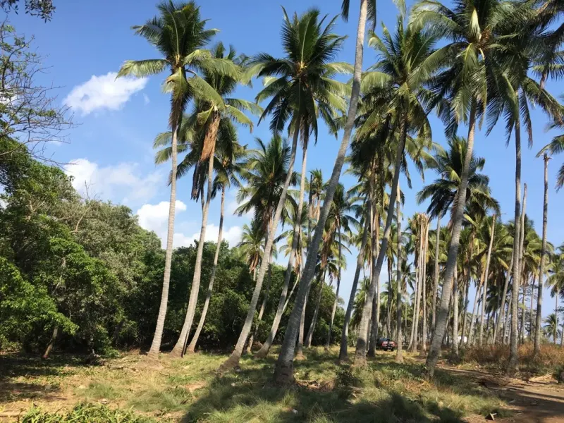 Hacienda Iguana, Nicaragua