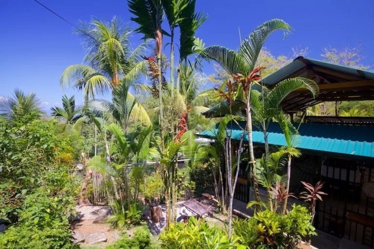 Pavones View House - 4
