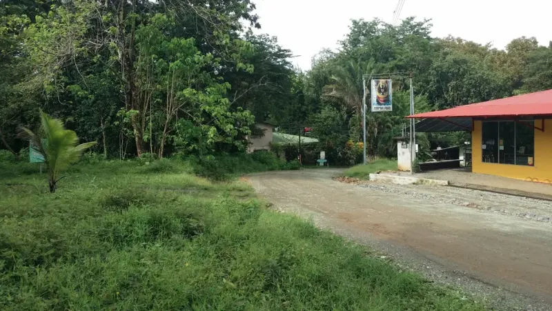 Pavones Walk to Surf Lot - 3